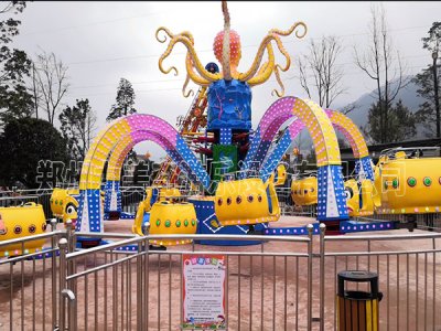 貴州30座大章魚案例：